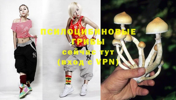 соль ск Белоозёрский