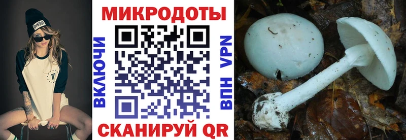 Псилоцибиновые грибы ЛСД  магазин  наркотиков  ссылка на мегу как зайти  Безенчук 